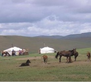 mongolia_horses_and_gers_185