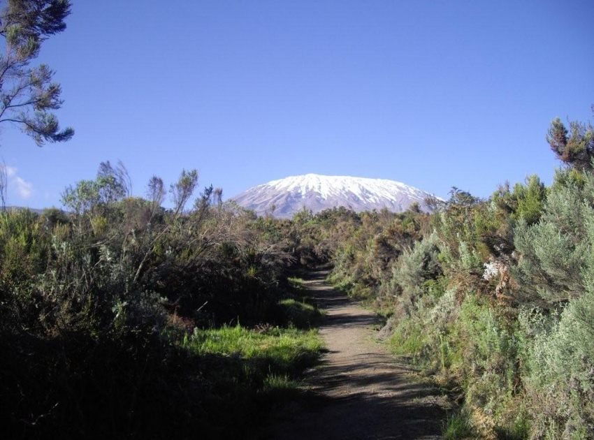 kilimanjaro_first-view_850